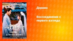 Воссоединение с первого взгляда (дорама, 2025)