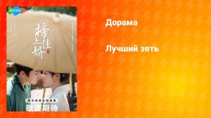 Лучший зять (дорама, 2025)