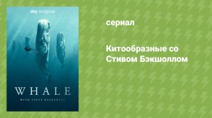 Китообразные со Стивом Бэкшоллом (документальный сериал, 2023)