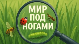 ″Мир под ногами″ глазами Эльдара