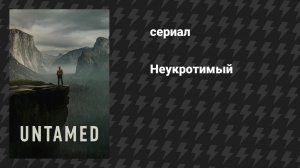 Неукротимый (сериал, 2025)