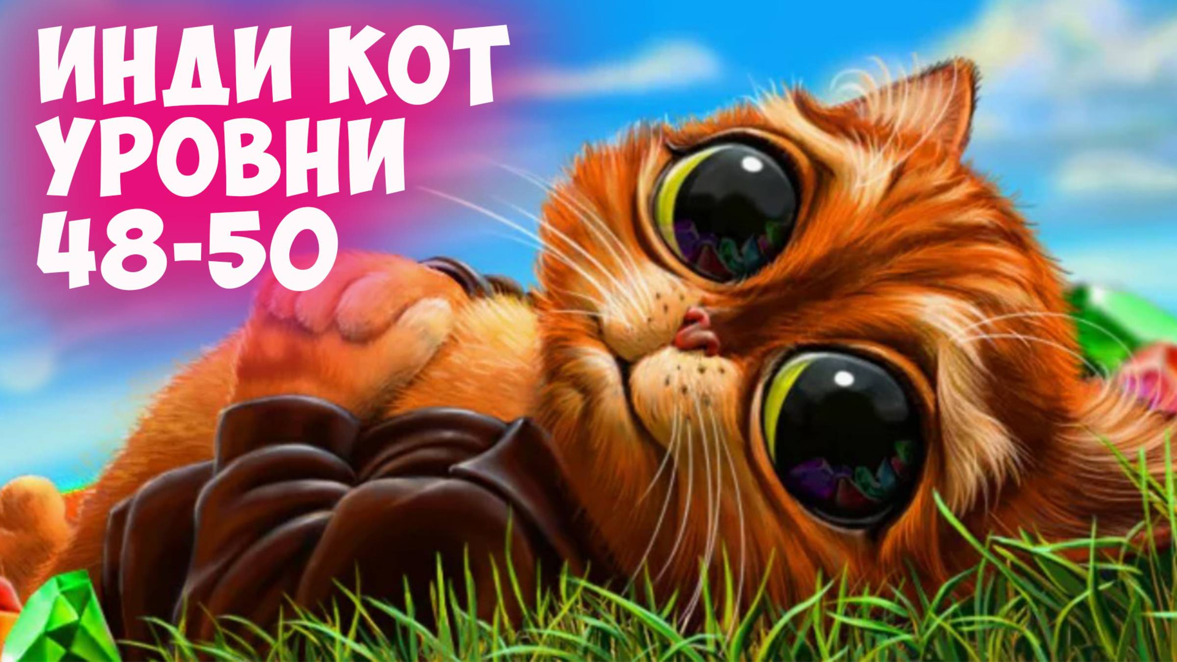 Инди Кот