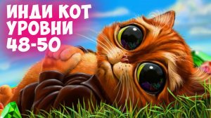 Инди Кот