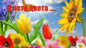 А ЛЕТО ЦВЕТА ....