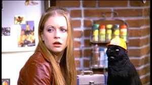 Сабрина маленькая ведьма - 1 сезон / Sabrina the Teenage Witch