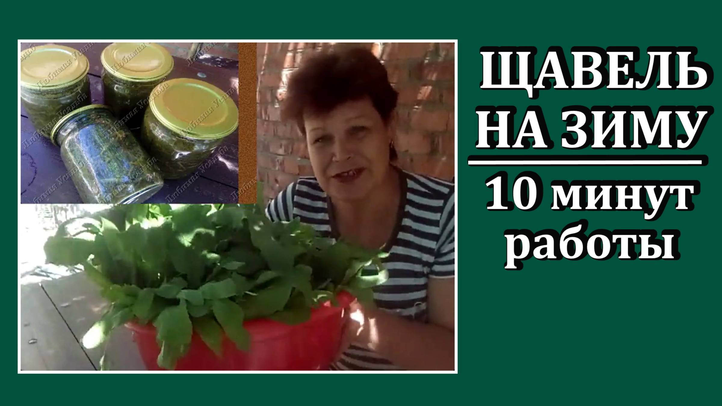 Заготовки-ОВОЩИ
