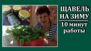 Заготовки-ОВОЩИ