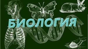 БИОЛОГИЯ