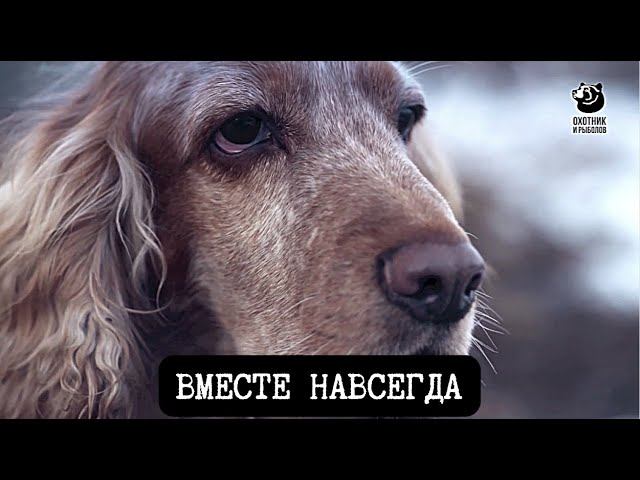 Спутники охотника
