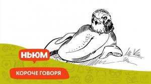 История языка