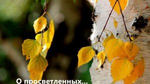 #Валерий Гурков - стихи