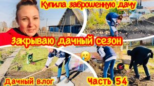Купила заброшенную дачу ПЕРВЫЙ ДАЧНЫЙ СЕЗОН