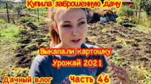 Как мы начинали жить с Виталей