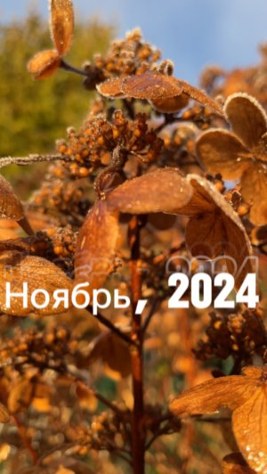 Путешествия