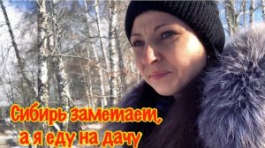 Мой второй дачный сезон
