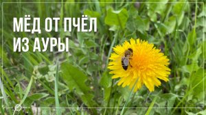 Видео ролики клуба oum.ru