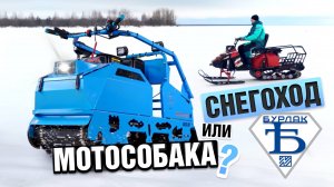 Мотобуксировщики