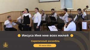 24й год. Музыкальные участия
