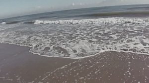 Звук моря и чаек