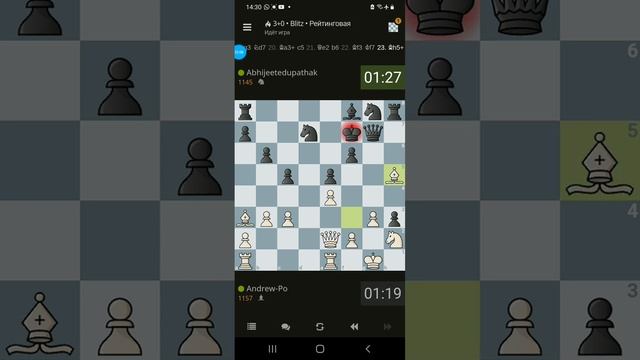 Шахматы горизонтальные видео.