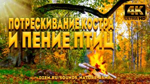 Звуки Костра ASMR