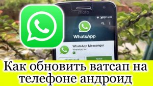 Whatsapp - вопросы по работе