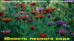 Ландшафтный дизайн - это просто!