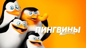 Пингвины из Мадагаскара