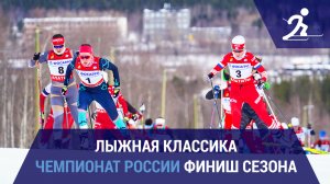 Сезон 2024/25