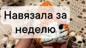 вязовлог навязала за неделю