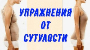 Тренировки для укрепления спины.