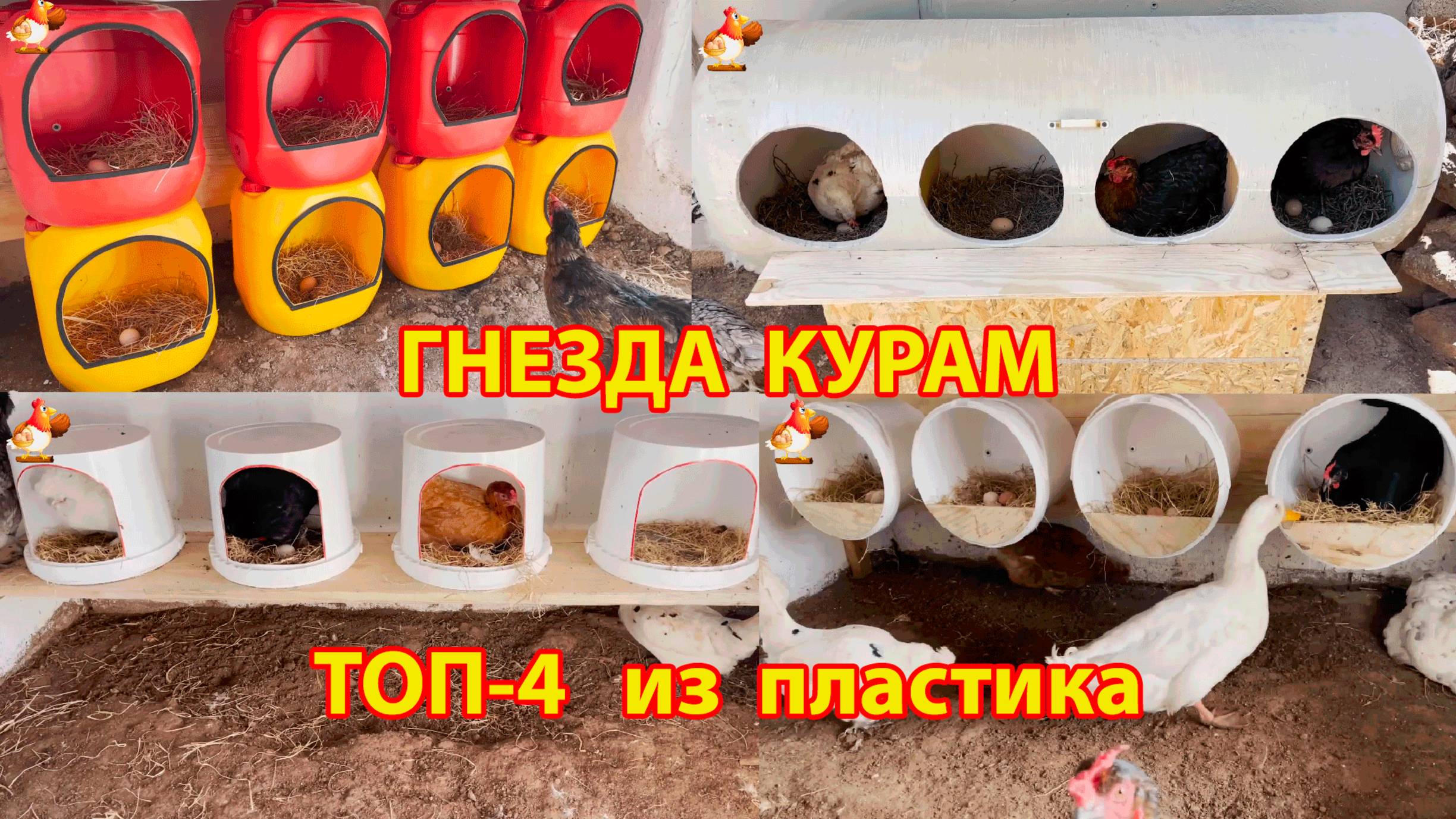 Гнезда для кур несушек
