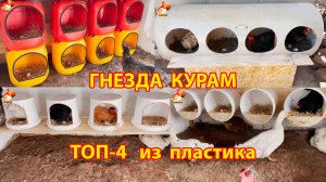 Гнезда для кур несушек