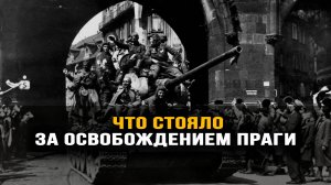 Алексей Плотников