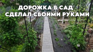 Наш сад