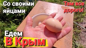 Огородные Дела, Хозяйство.