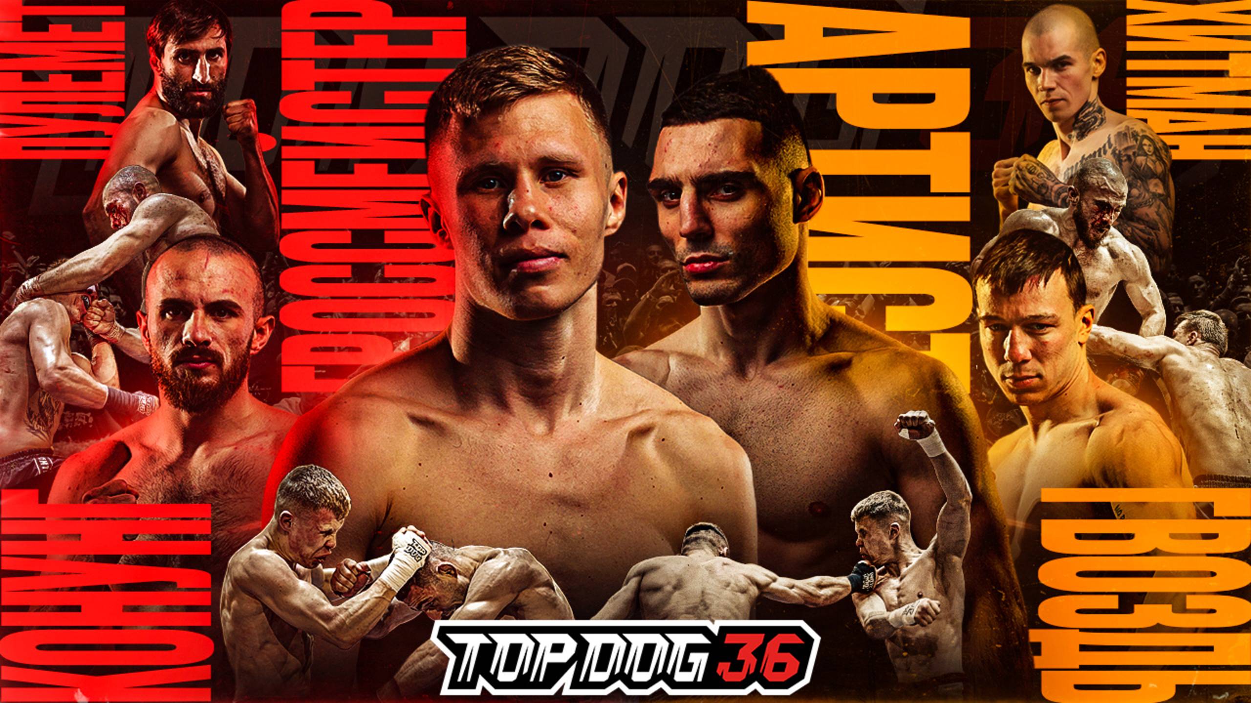 TDFC 36