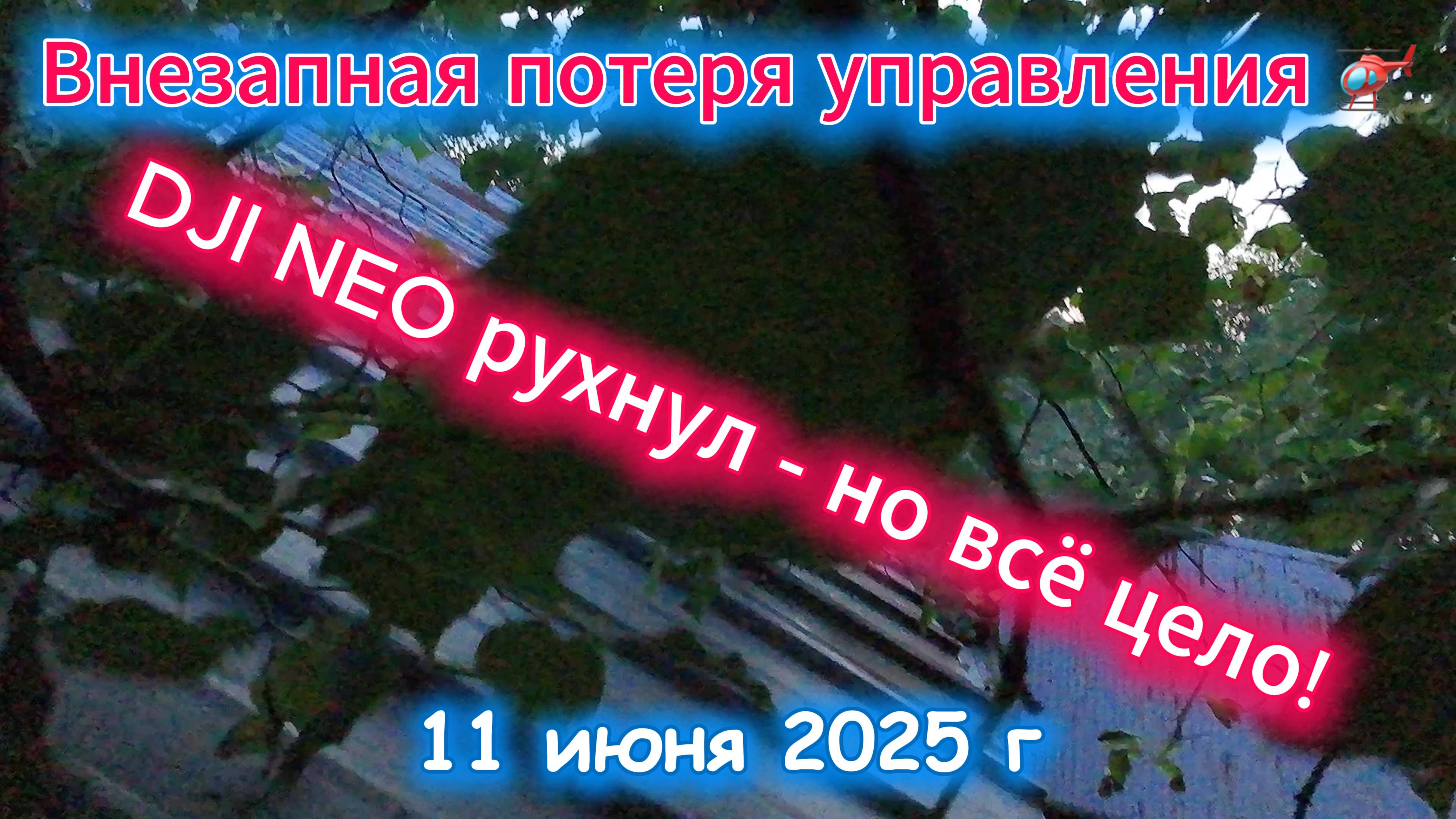 С высоты птичьего полета
