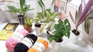 Мои растения