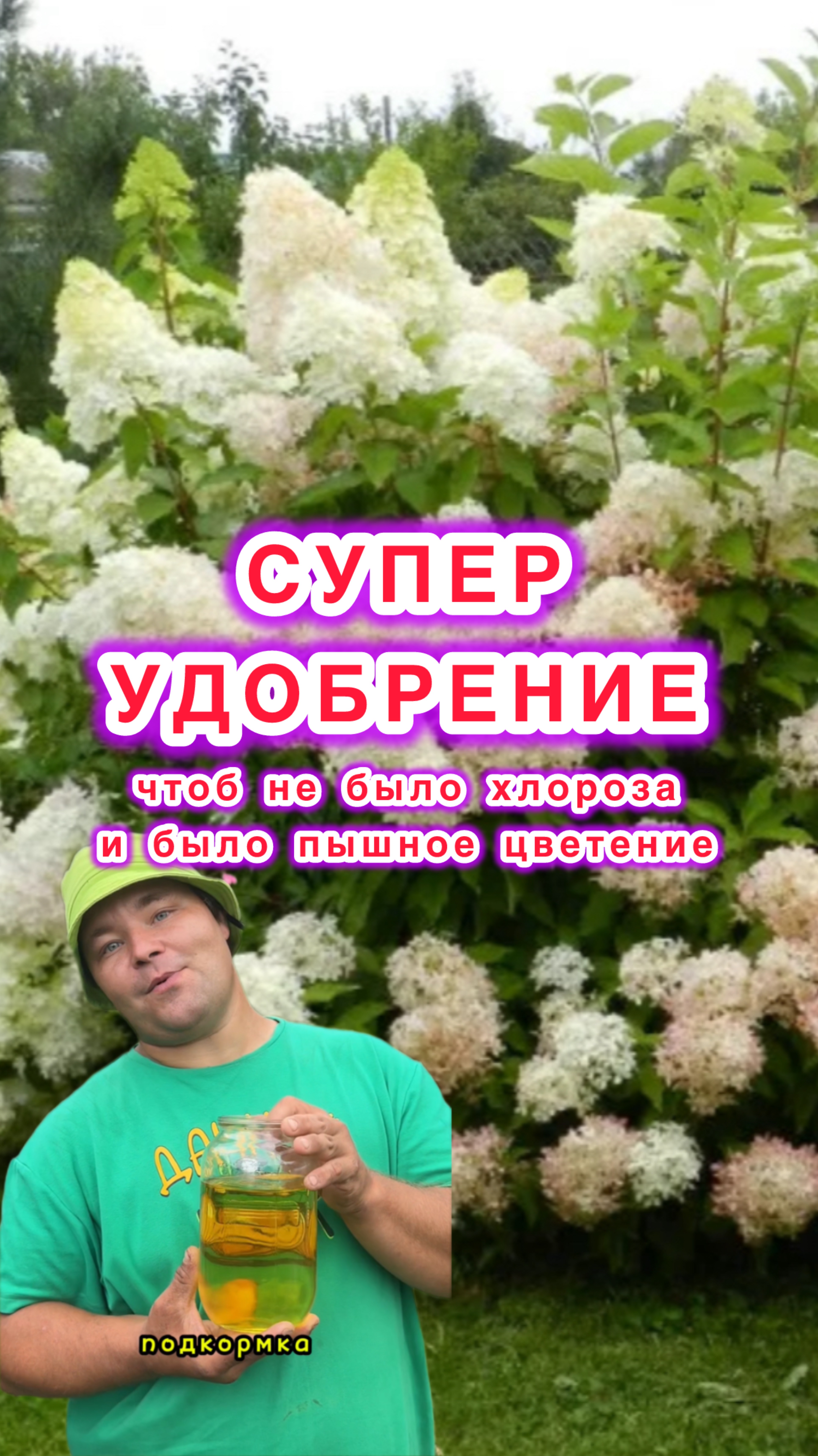 ПроЦветы