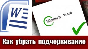 Microsoft Word
