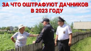 Внимание, может пригодиться! Лайфхаки и полезные советы