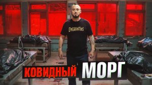 Все видео