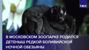 Природа и экология ТАСС