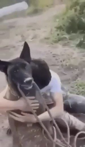 Хроники