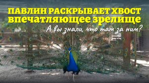 Путевые заметки и активный отдых