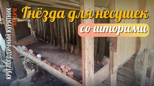 Автономный курятник на 25 голов до 30 дней. Курятник на даче
