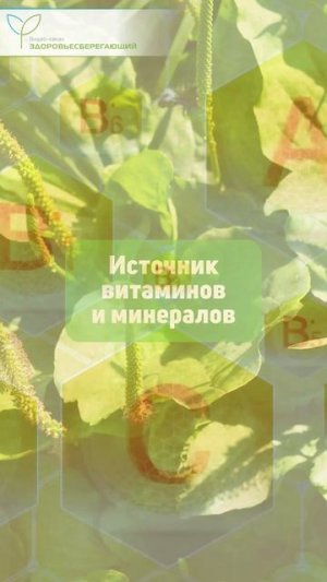 Полезные советы