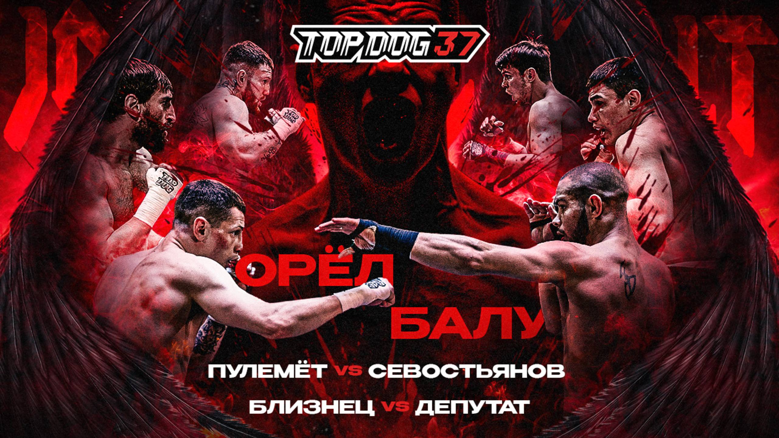 TDFC 37