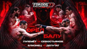TDFC 37